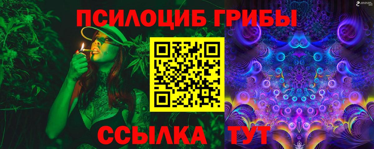 Псилоцибиновые грибы прущие грибы Саратов